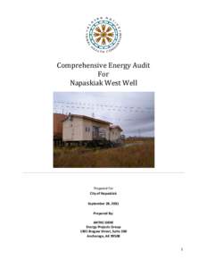 Microsoft Word - Napaskiak West Well Final Report