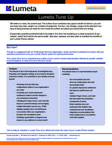 PROFESSIONAL SERVICES  Lumeta Tune Up Still waters run deep, the proverb says. The surface of your workplace may appear smooth but below it, you and your team have been caught in an undertow of exigencies. Turnover, role