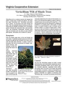 publication[removed]Verticillium Wilt of Shade Trees R. J. Stipes, Professor of Plant Pathology M. A. Hansen, Extension Plant Pathologist, Department of Plant Pathology, Physiology and Weed Science, Virginia Tech,