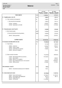 Subsidies / International Lesbian /  Gay /  Bisexual /  Transgender and Queer Youth and Student Organisation / LGBT in Europe / International Lesbian /  Gay /  Bisexual /  Trans and Intersex Association / Balance sheet / Fortis / Fee / Finance / Business / Accountancy