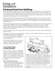 Evicting Animals from Buildings Occasionally a raccoon, skunk, tree squirrel, or other animal will find a suitable shelter in or under a house, shed, or other structure. These animals may occupy an area sporadically, usi