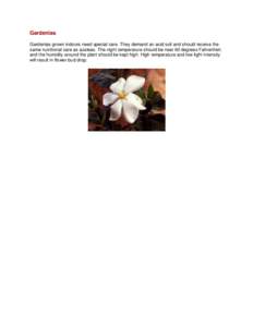 Gardenias Gardenias grown indoors need special care. They demand an acid soil and should receive the same nutritional care as azaleas. The night temperature should be near 60 degrees Fahrenheit. and the humidity around t