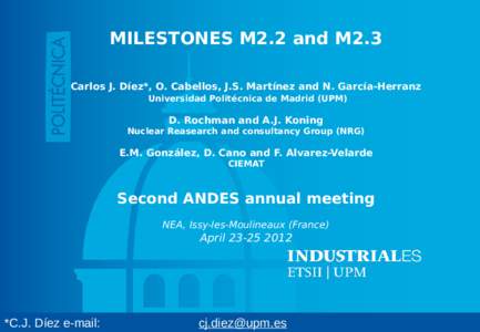 MILESTONES M2.2 and M2.3 Carlos J. Díez*, O. Cabellos, J.S. Martínez and N. García-Herranz Universidad Politécnica de Madrid (UPM) D. Rochman and A.J. Koning Nuclear Reasearch and consultancy Group (NRG)