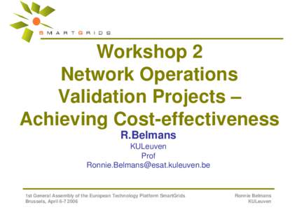 Workshop 2 Network Operations Validation Projects – Achieving Cost-effectiveness R.Belmans KULeuven