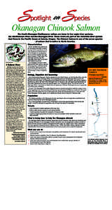 Okanagan Chinook Salmon The South Okanagan Similkameen valleys are home to two major river systems, the Similkameen River and the Okanagan River. These rivers are part of the Columbia River system that flows to the Pacif