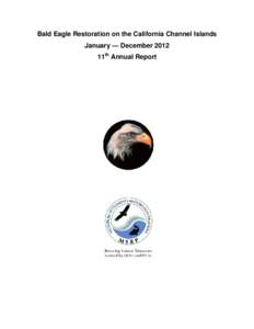 Microsoft Word - Montrose bald eagle report 2012 final[removed]