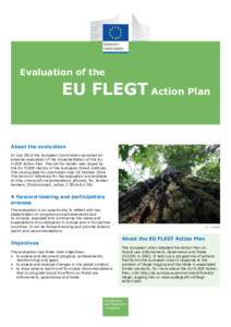 Evaluation of the  EU FLEGT Action Plan 
