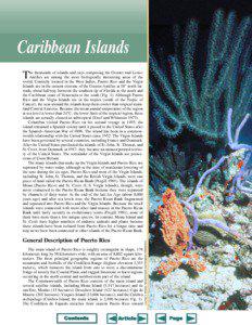 Caribbean Islands T