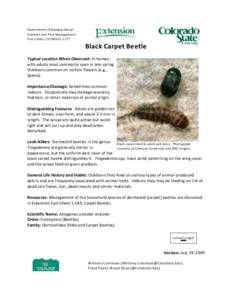 Department of Bioagricultural Sciences and Pest Management Fort Collins, CO[removed]Black Carpet Beetle Typical Location When Observed: In homes,