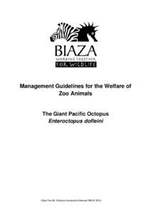 Management Guidelines for the Welfare of Zoo Animals The Giant Pacific Octopus Enteroctopus dofleini