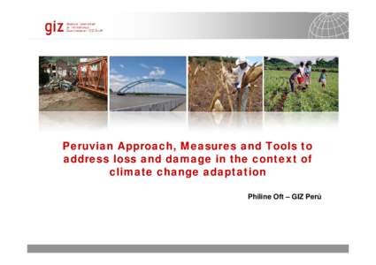 Peruvian Approach, Measures and Tools to address loss and damage in the context of climate change adaptation Philine Oft – GIZ Perú  [removed]