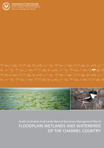 Geography of Queensland / Central West Queensland / Floodplains / Rivers of Queensland / Rivers of South Australia / Cooper Creek / Diamantina River / Channel Country / Flood / Geography of Australia / Lake Eyre basin / States and territories of Australia