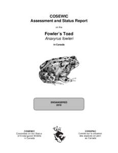 Toads / Committee on the Status of Endangered Wildlife in Canada / Bufo fowleri / Species at Risk Act / American toad / Anaxyrus / Bufo / Herpetology