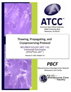 SOP:  Thawing, Propagation and Cryopreservation of NCI-PBCF-CCL247HCT 116)