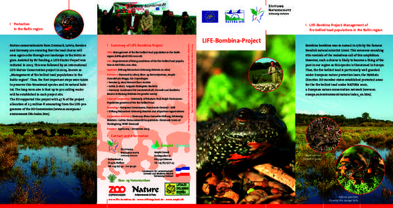 I Protection in the Baltic region Title: Management of the fire bellied toad population in the Baltic  once again echo through our landscape in the Baltic re-