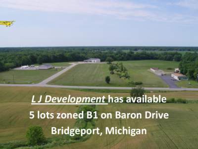 L J Development has available 5 lots zoned B1 on Baron Drive Bridgeport, Michigan Easy Access to I[removed]miles), Airport (4 miles), Baron Drive off Junction Road main road to Frankenmuth, located between Birch Run and B