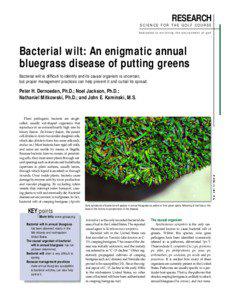 Pathology / Botany / Xanthomonas campestris / Enterobacteria / Bacterial wilt / Plant pathology / Poa annua / Phytotoxin / Wilt / Microbiology / Biology / Xanthomonadales