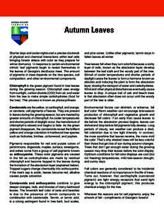 Shorter days and cooler nights start a precise clockwork of physical and chemical interactions within leaf cells bringing forests ablaze with color as they prepare for winter dormancy. In response to certain environmenta