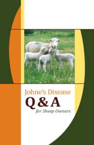 Johnes Sheep Q&A booklet.indd