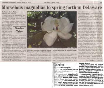 Delaware State News, Sunday, May 30, 2010  The State Capital Daily 35