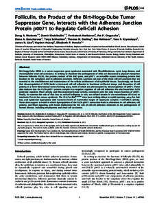 Folliculin, the Product of the Birt-Hogg-Dube Tumor Suppressor Gene, Interacts with the Adherens Junction Protein p0071 to Regulate Cell-Cell Adhesion Doug A. Medvetz1., Damir Khabibullin1., Venkatesh Hariharan2, Pat P. 