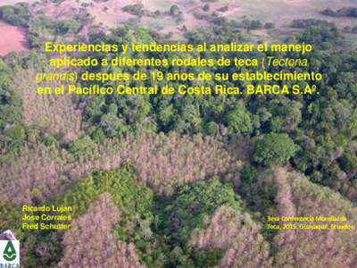 Experiencias y tendencias al analizar el manejo aplicado a diferentes rodales de teca (Tectona grandis) después de 19 años de su establecimiento en el Pacífico Central de Costa Rica. BARCA S.Aº.  Ricardo Luján