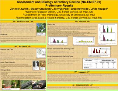 Assessment and Etiology of Hickory Decline—Preliminary Result