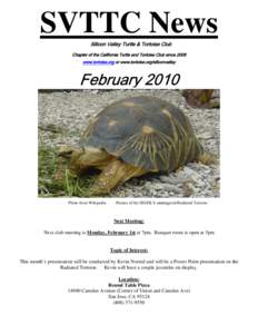 SVTTC News Silicon Valley Turtle & Tortoise Club Chapter of the California Turtle and Tortoise Club since 2008 www.tortoise.org or www.tortoise.org/siliconvalley  February 2010