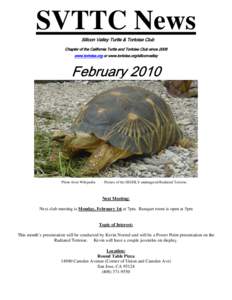 Tortoise / Turtle / Aldabra giant tortoise / Sea turtle / Galápagos Islands / Radiated tortoise / Conservation / Ecology / Biogeography