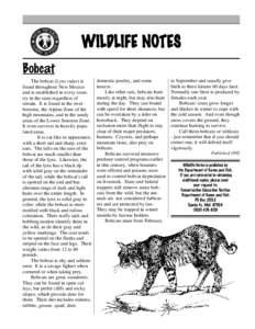 WILDLIFE NOTES Bobcat The bobcat (Lynx rufus) is found throughout New Mexico and is established in every country in the state regardless of terrain. It is found in the river