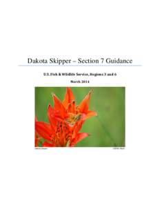 Dakota Skipper – Section 7 Guidance U.S. Fish & Wildlife Service, Regions 3 and 6 March 2014 Dakota Skipper