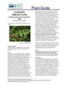 Plant Guide COMMON PRICKLYASH