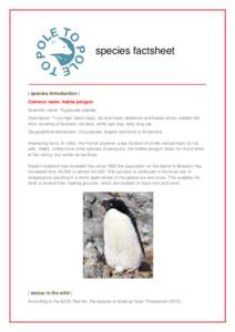 species factsheet  | species introduction | Common name: Adelie penguin Scientific name: Pygoscelis adeliae Description: 71cm high; black back, tail and head; abdomen and breast white; reddish bill,