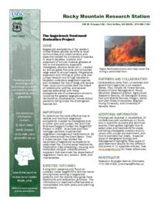 Ecological succession / Fire / Conservation in the United States / Wildfires / Artemisia tridentata / Fire ecology / United States Forest Service / Sage Grouse / Bromus tectorum / Flora of the United States / Flora / Environment of the United States