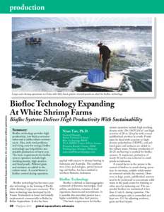 Biofloc Technology Expanding At White Shrimp Farms -- Biofloc Systems Deliver HIgh Productivity With Sustainability