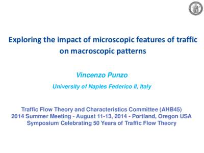 Exploring the impact of microscopic features of traffic on macroscopic patterns Vincenzo Punzo University of Naples Federico II, Italy  Traffic Flow Theory and Characteristics Committee (AHB45)