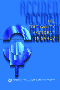THE CRITICALITY ACCIDENT