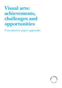 Visual arts: achievements, challenges and opportunities Consultation paper appendix