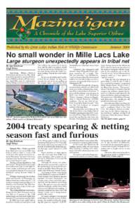 Published by the Great Lakes Indian Fish & Wildlife Commission  Summer 2004 No small wonder in Mille Lacs Lake Large sturgeon unexpectedly appears in tribal net
