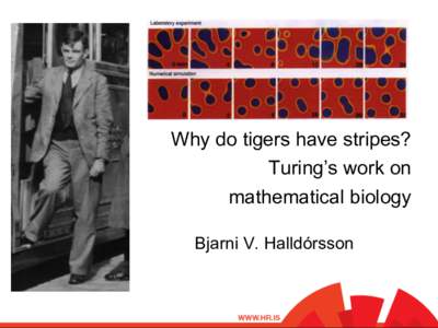 Why do tigers have stripes? Turing’s work on mathematical biology Bjarni V. Halldórsson  Overview