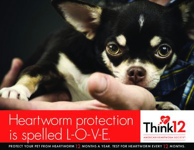 Heartworm protection is spelled L-O-V-E. PROTECT YOUR PET FROM HEARTWORM 12 MONTHS A YEAR. TEST FOR HEARTWORM EVE RY 12 MONTHS.