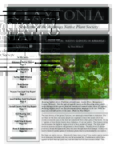 CLAYTONIA Newsletter of the Arkansas Native Plant Society Vol. 29 No. 2 SELDOM SEEN: NATIVE CLOVERS IN ARKANSAS