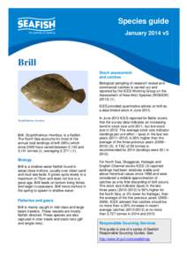Species guide January 2014 v5 Brill Stock assessment and catches