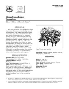 Fact Sheet ST-584 October 1994 Sassafras albidum Sassafras1 Edward F. Gilman and Dennis G. Watson2