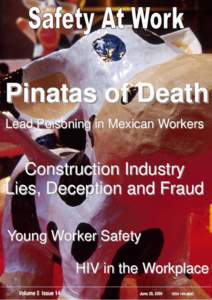 Pinatas of Death Lead Poisoning in Mexican Workers Construction Industry Lies, Deception and Fraud Young Worker Safety