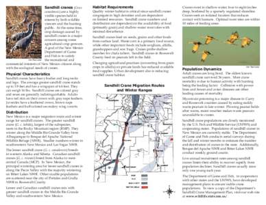 Crane / Whooping Crane / Monte Vista National Wildlife Refuge / Birds of North America / Sandhill Crane / Ornithology