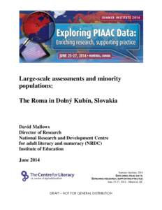Large-scale assessments and minority populations: The Roma in Dolný Kubín, Slovakia David Mallows Director of Research