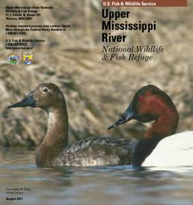 Upper Mississippi River National Wildlife & Fish Refuge 51 E. Fourth St. Room 101 Winona, MN[removed]Hearing impaired persons may contact Upper Miss through the Federal Relay Number at