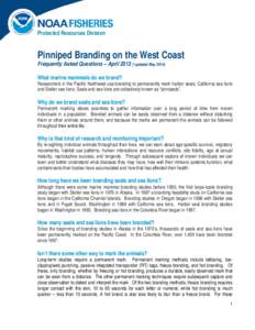 Protected Resources Division  Pinniped Branding on the West Coast Frequently Asked Questions – April 2013 (*updated May[removed]What marine mammals do we brand?