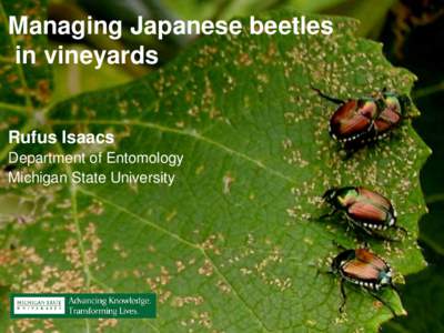 Managing Japanese beetles in vineyards Rufus Isaacs Department of Entomology Michigan State University